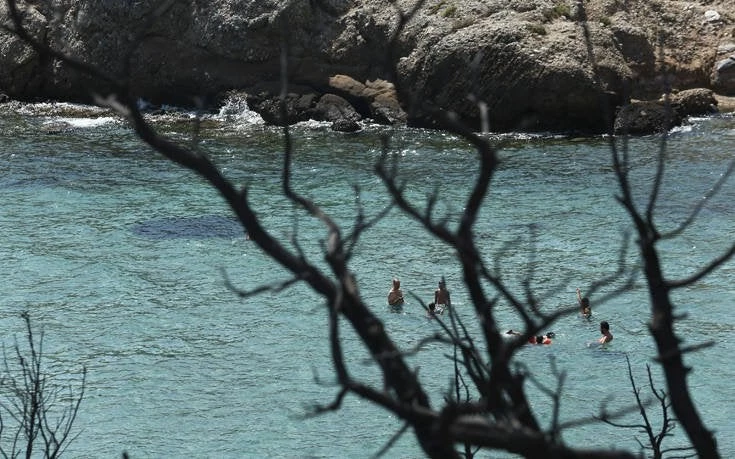 Η ζωή συνεχίζεται στα καμένα! Λουόμενοι κάνουν μπάνιο στο λιμανάκι της Ραφήνας